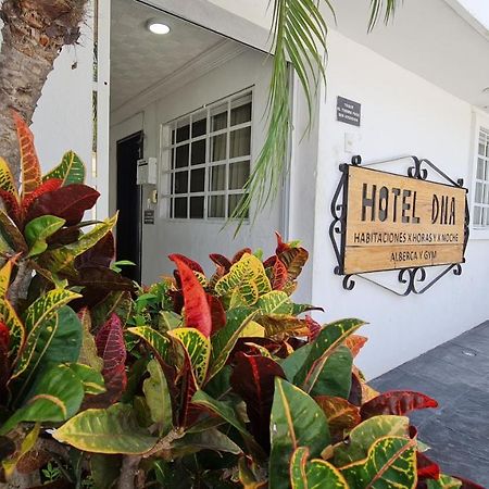 Dna Cancun Hotel Y Posada Экстерьер фото