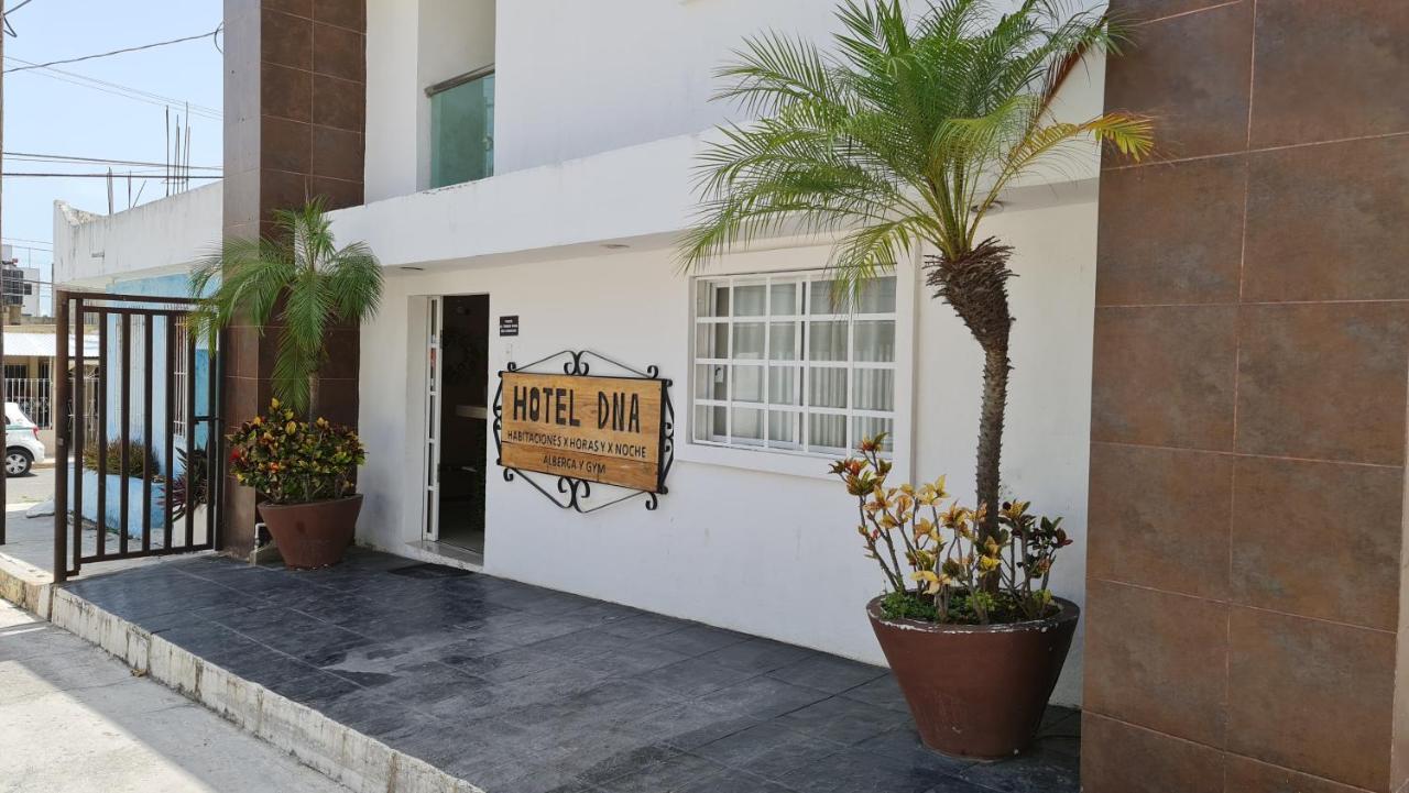 Dna Cancun Hotel Y Posada Экстерьер фото